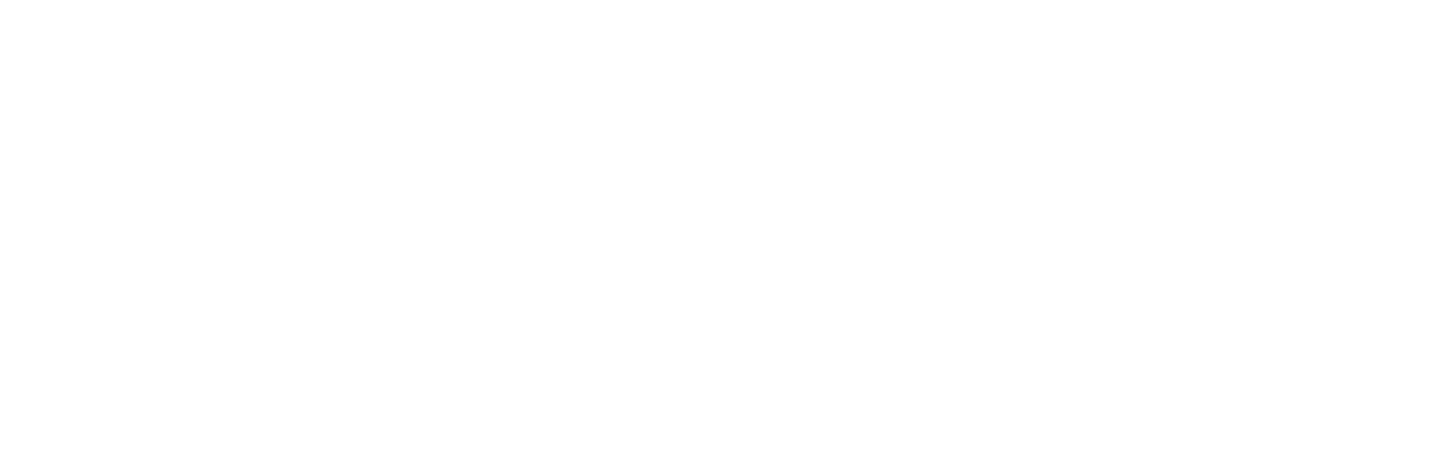 Don Melchor logo white