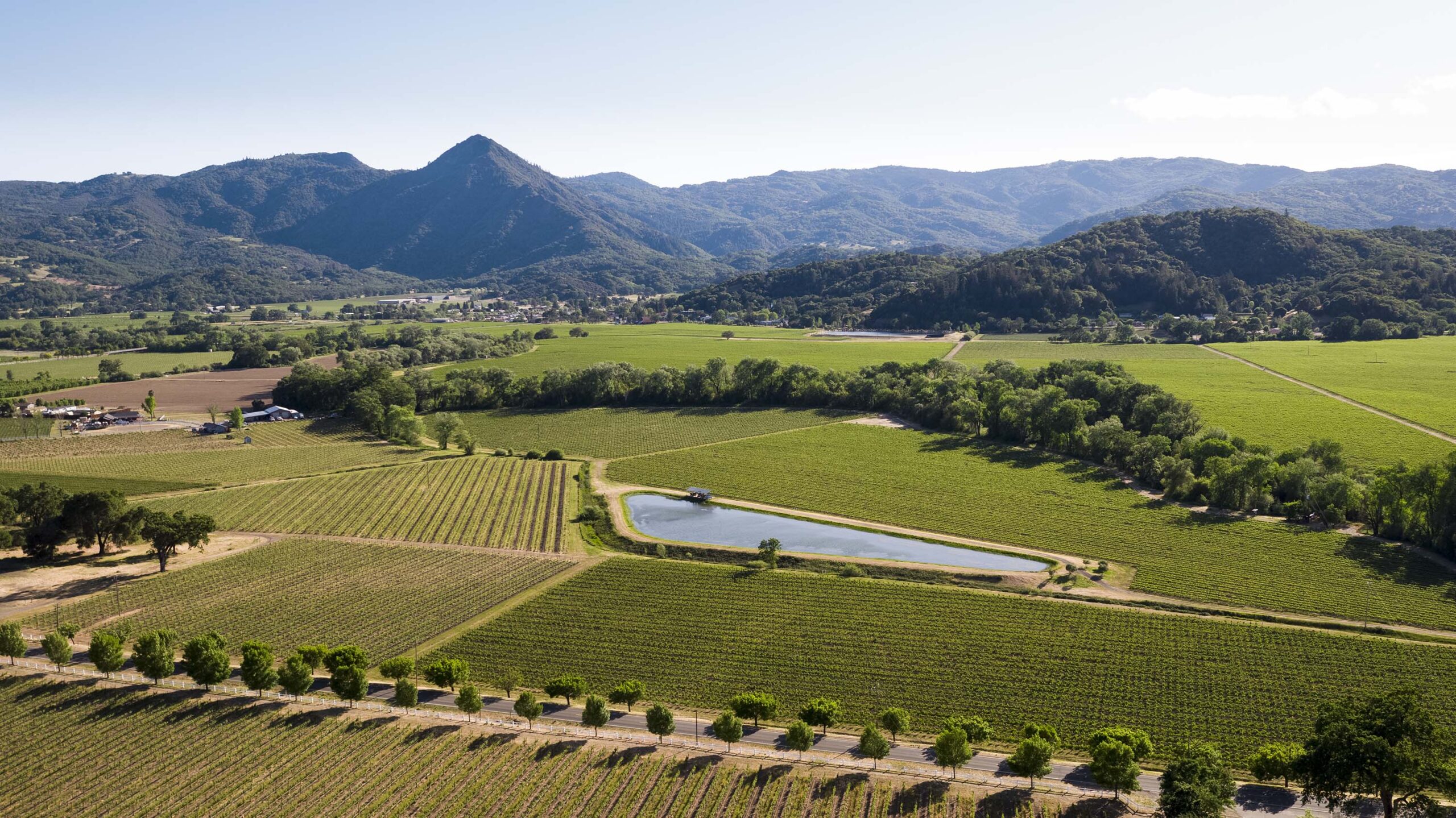 Fetzer Vineyards