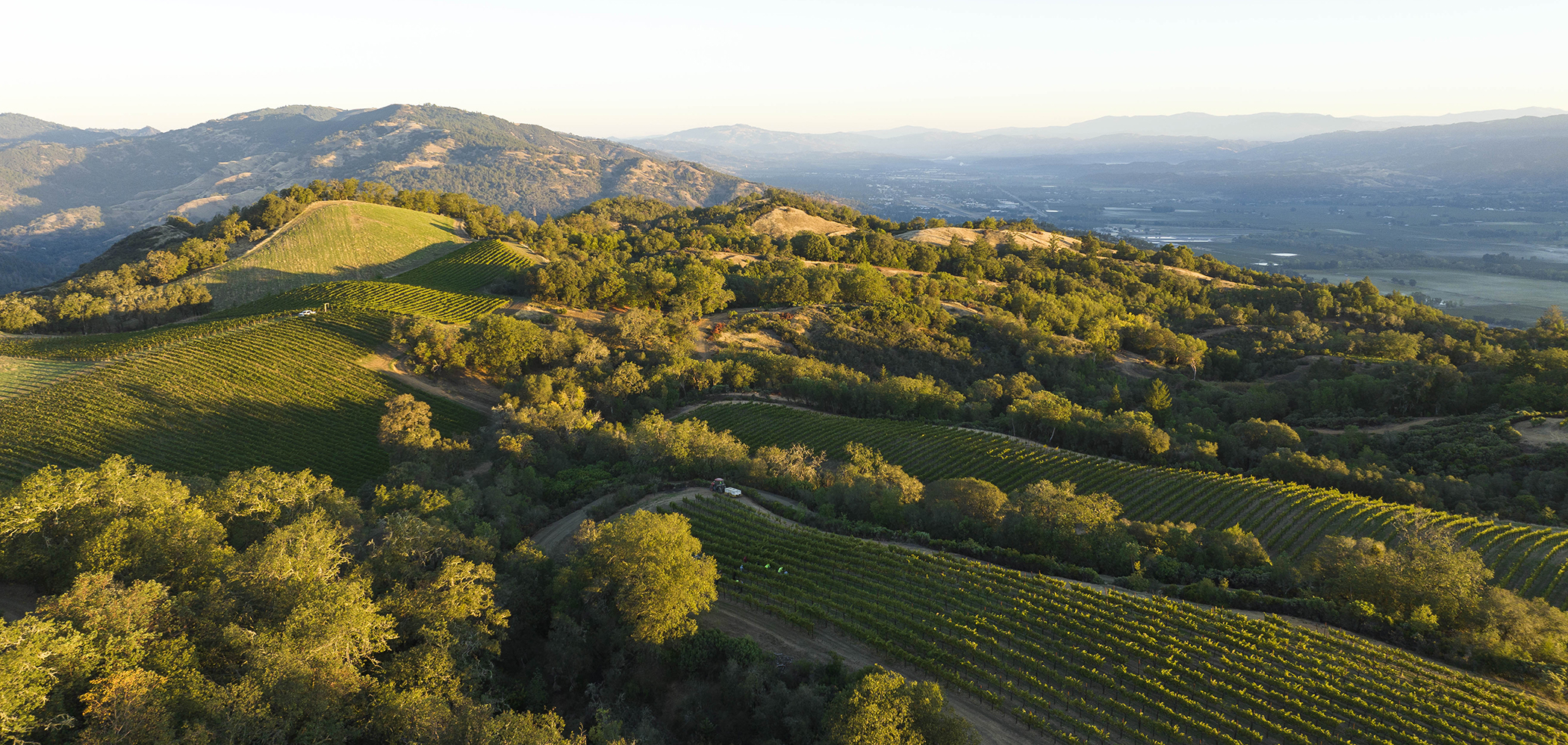 Butler Ranch, Mendocino County